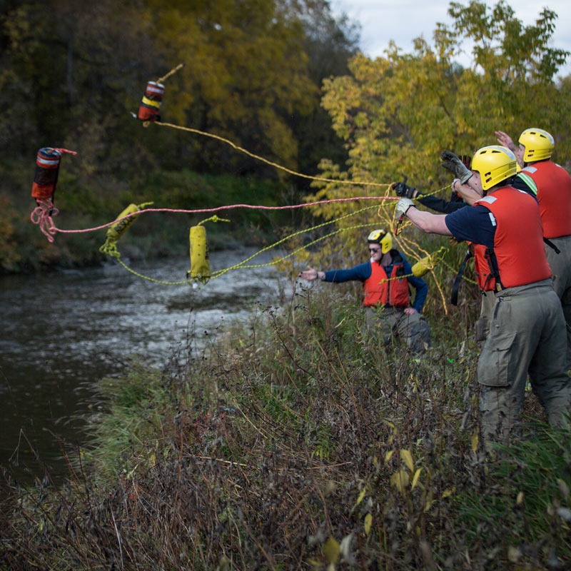 Airport Wildlife Management
